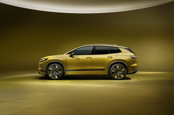 ID. Tiguan Style Olive bronze metallic